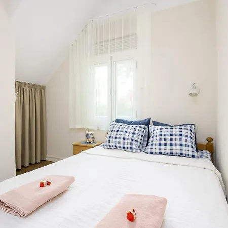 Apartment Aiaviisa *