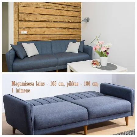 Apartament Aiaviisa Parnawa