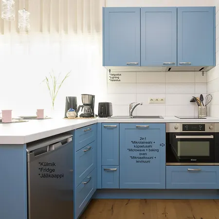 Apartament Aiaviisa *